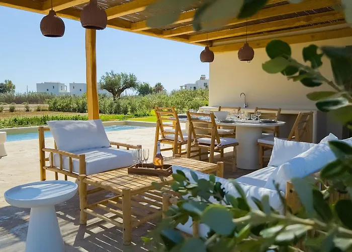 فيلة Nour, Modern High-ceiling Retreat With Pool In Plaka Naxos *