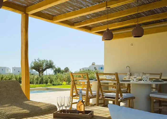 Nour, Modern High-ceiling Retreat With Pool In Plaka Naxos فيلة *