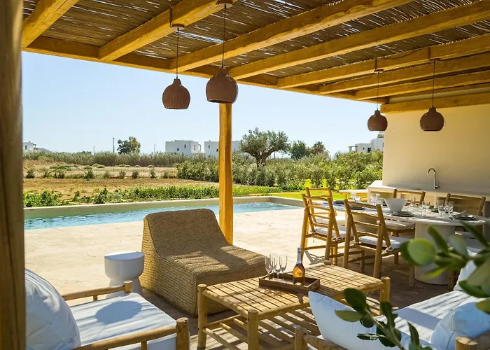 Nour, Modern High-ceiling Retreat With Pool In Plaka Naxos فيلة *