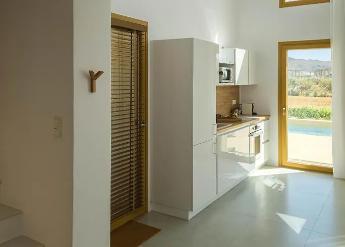 Nour, Modern High-ceiling Retreat With Pool In Plaka Naxos فيلة