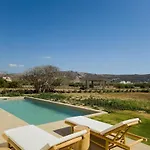 Willa Nour, Modern High-ceiling Retreat With Pool In Plaka Naxos *