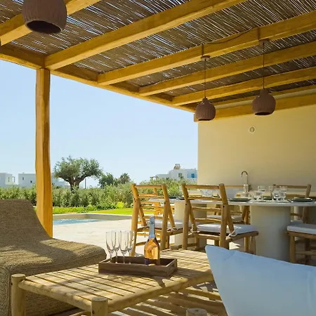 Nour, Modern High-ceiling Retreat With Pool In Plaka Naxos Villa *
