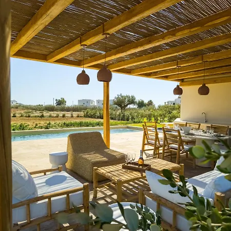 Nour, Modern High-ceiling Retreat With Pool In Plaka Naxos Вилла *
