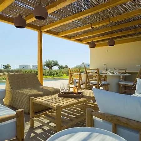 Nour, Modern High-ceiling Retreat With Pool In Plaka Naxos