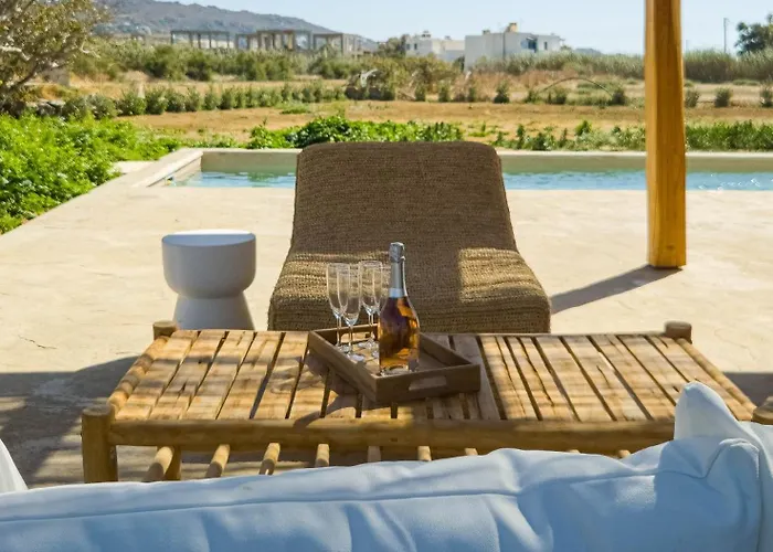 Nour, Modern High-ceiling Retreat With Pool In Plaka Naxos * Naxos City